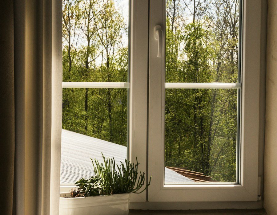 Contemporary window framing a view of trees